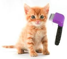 סירוק שיער חתול - מברשת קוצצת