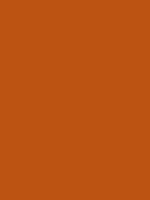 Touch Up Paint - CGR Copper