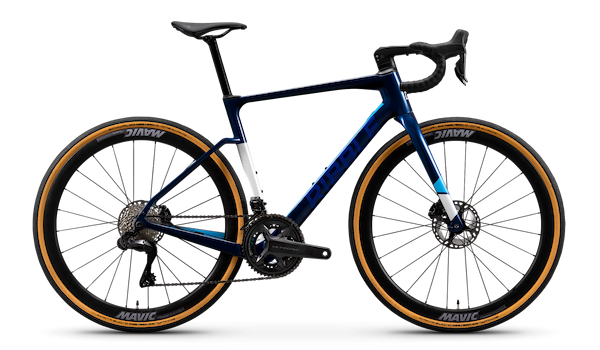 CGR SL - Pro