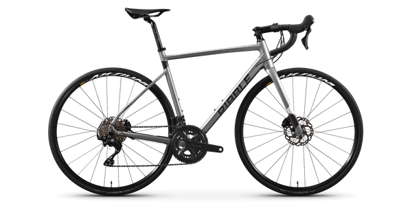 Endurance AL Disc