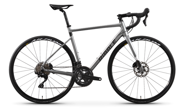 Endurance AL Disc