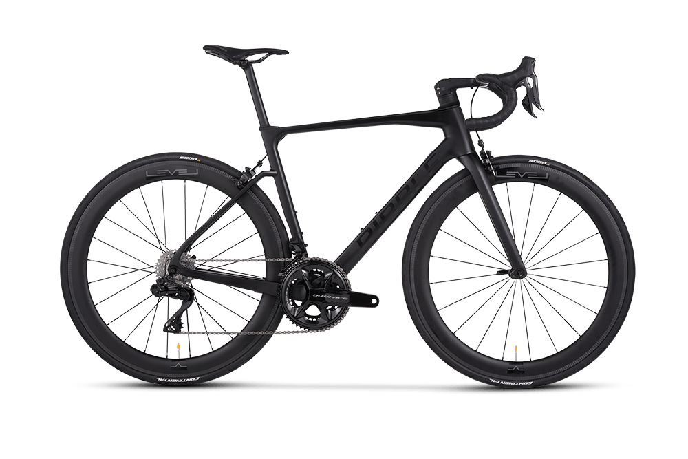 Endurance SL R