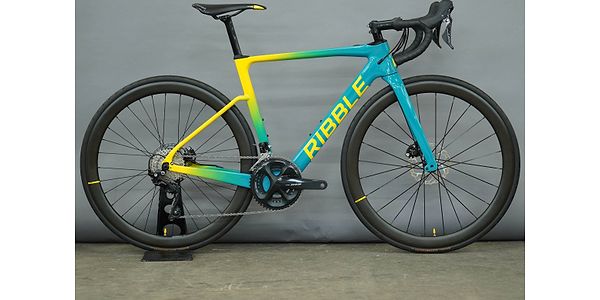 Endurance SL e - Custom Colour - Shimano 105 - Small