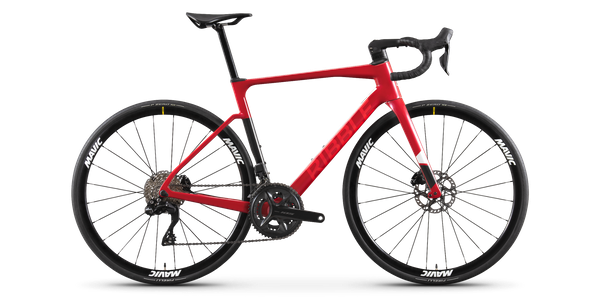 Endurance SL Disc - Enthusiast