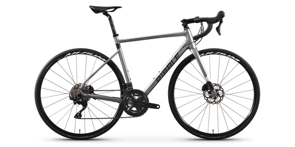 Endurance AL Disc - Enthusiast