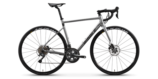 Endurance AL Disc - Sport