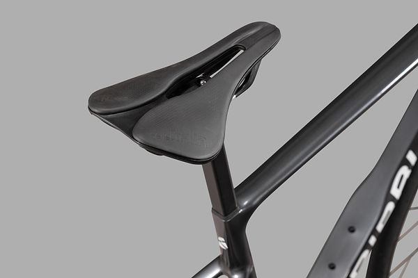 Saddle