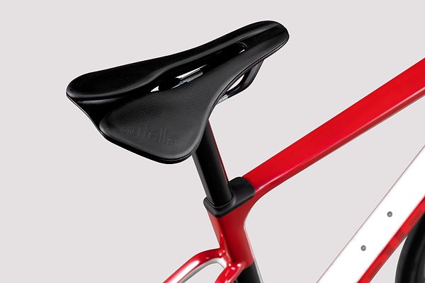 Saddle