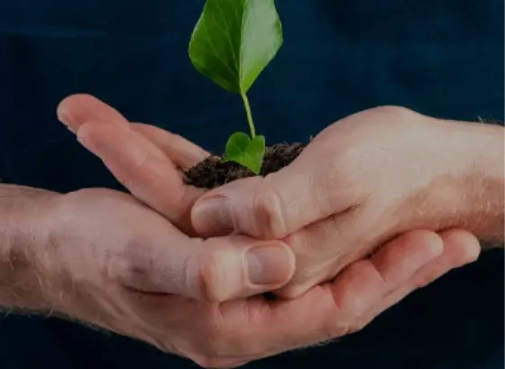 man-holding-plant