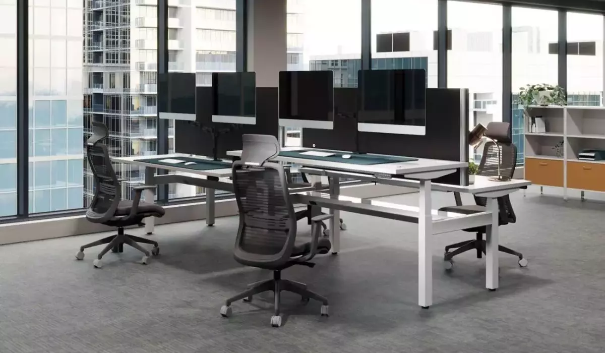 sit-stand-desk