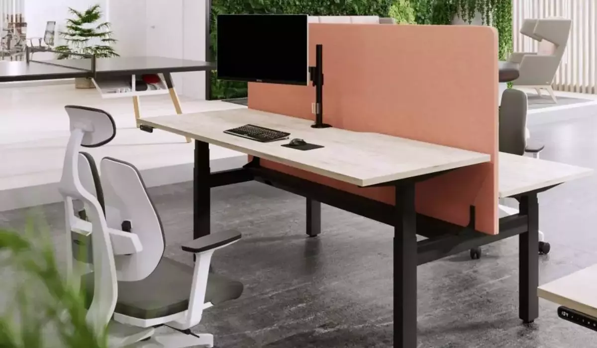 sit-stand-desk
