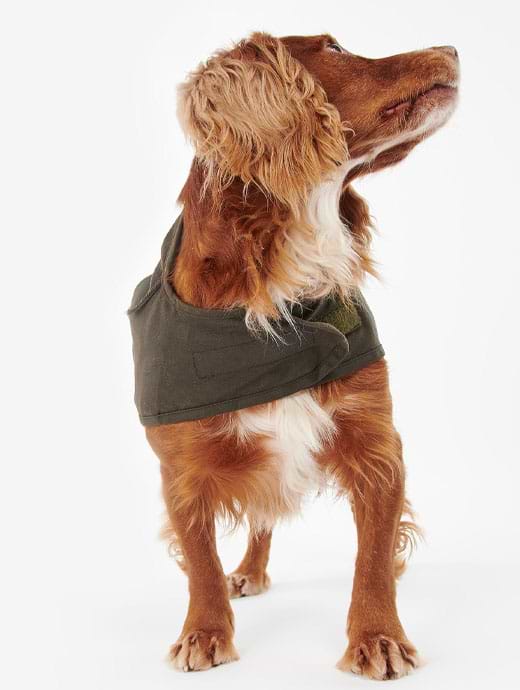 Barbour olive clearance wax dog coat