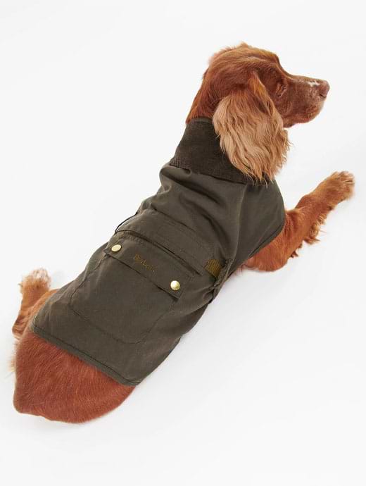 Barbour wax discount dog coat olive