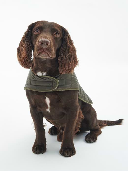 Barbour Olive Quilted Dog Coat Clearance | website.jkuat.ac.ke