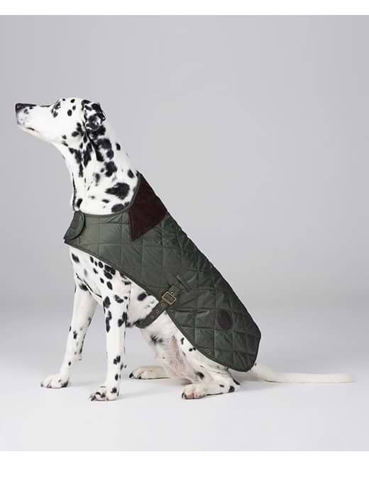 Barbour Quilted Dog Coat Olive