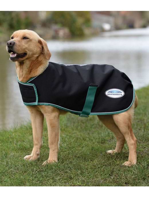 Weatherbeeta GreenTec 900D Dog Coat Medium