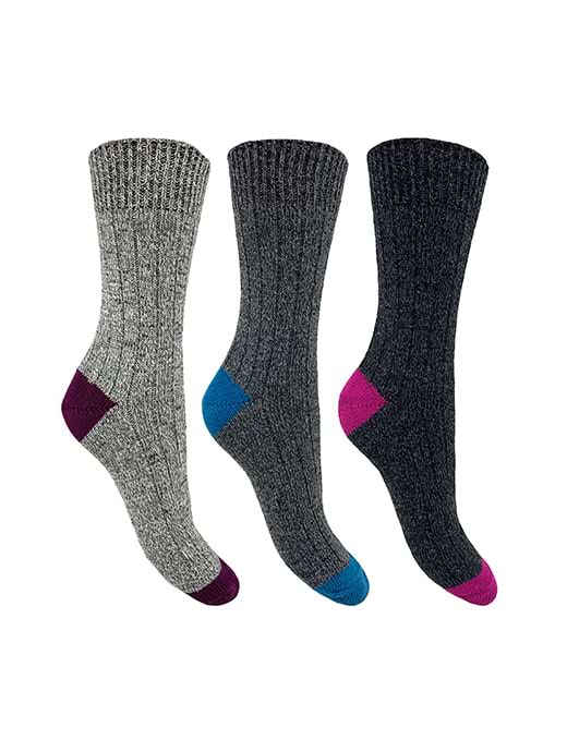 Bramble 3 Pack Ladies Wool Blend Sock with Colour H&T Grey Mix