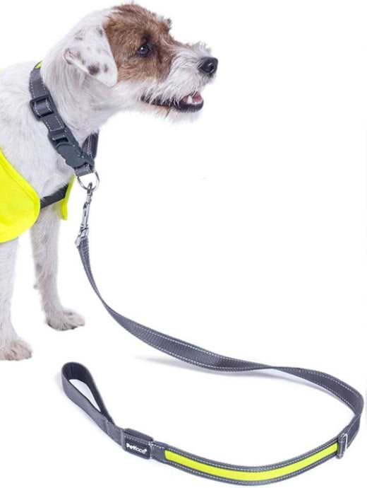Petface Bright Dog Lead