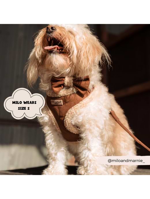 Cocopup Brown Aviator Harness