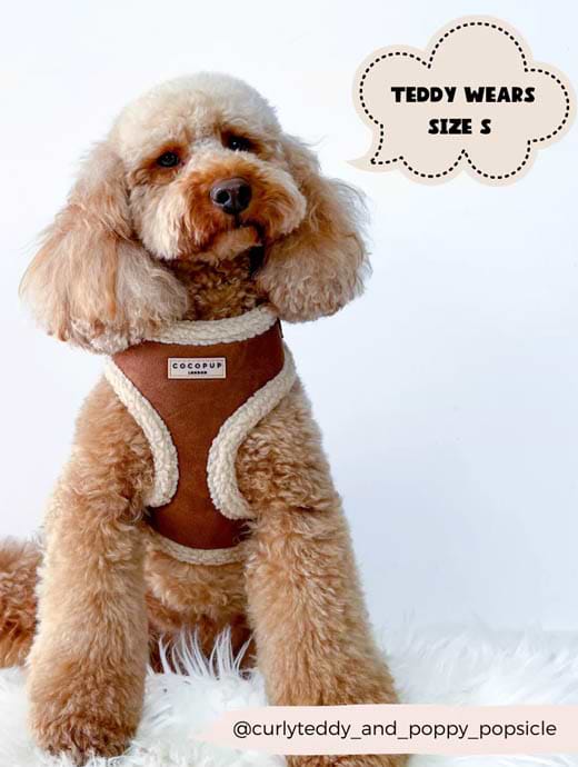 Harness toy deals