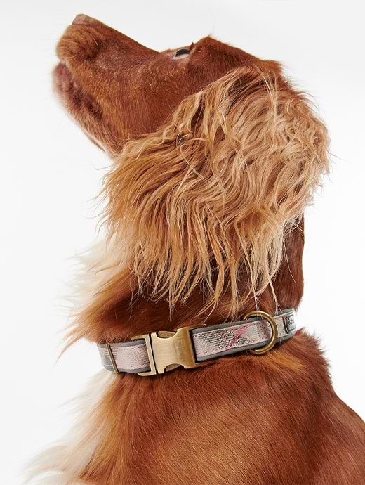 Barbour Reflective Tartan Dog Collar Taupe/Pink Tartan