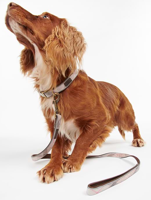 Barbour dog lead deals pink