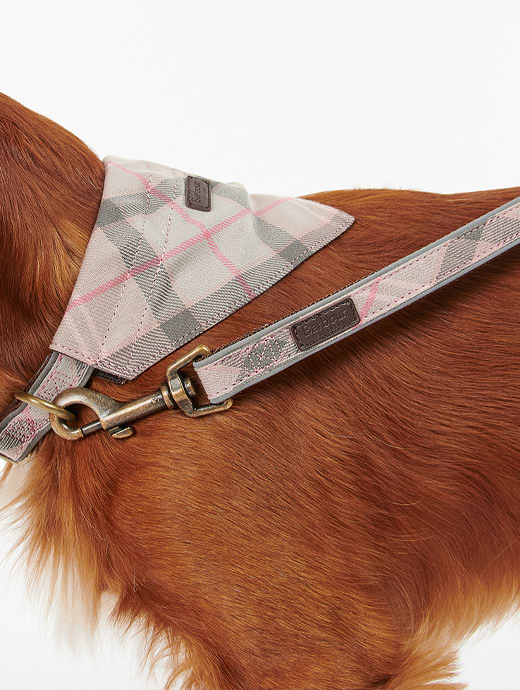 Barbour tartan webbing dog collar sales