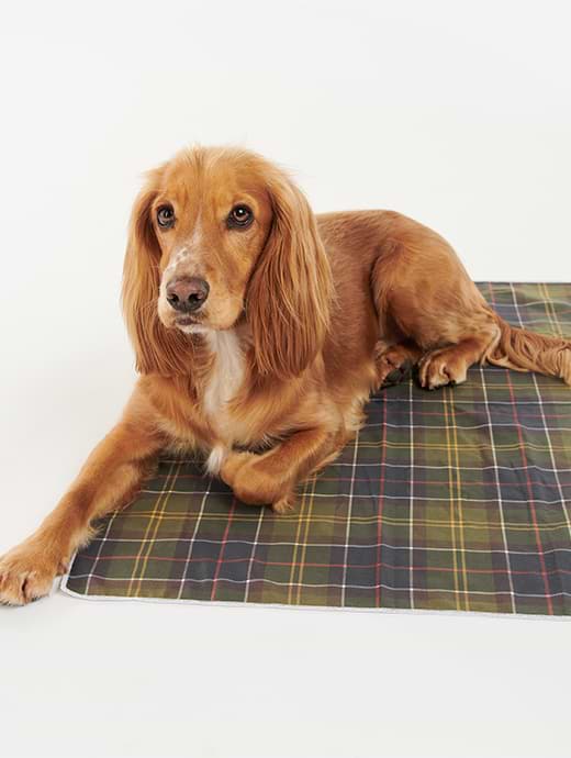 Quick dry outlet dog towel