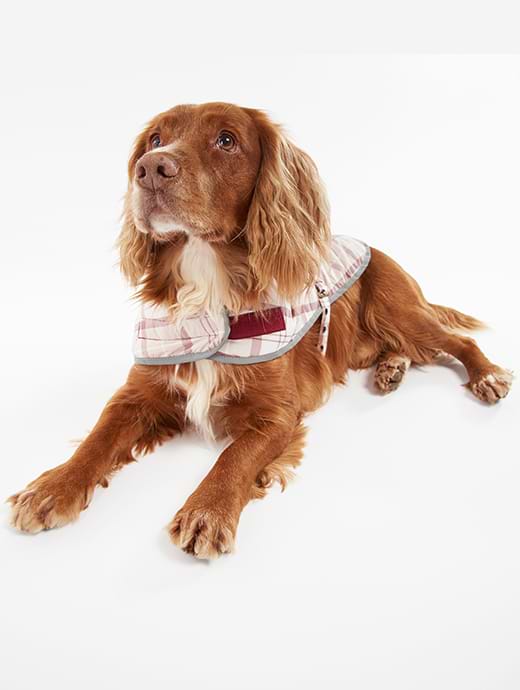 Barbour Wetherham Tartan Dog Coat Dewberry