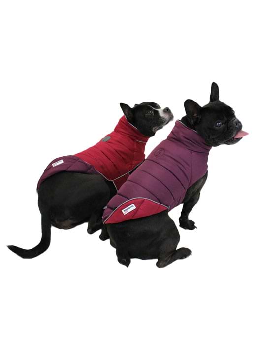 Doodlebone coats top