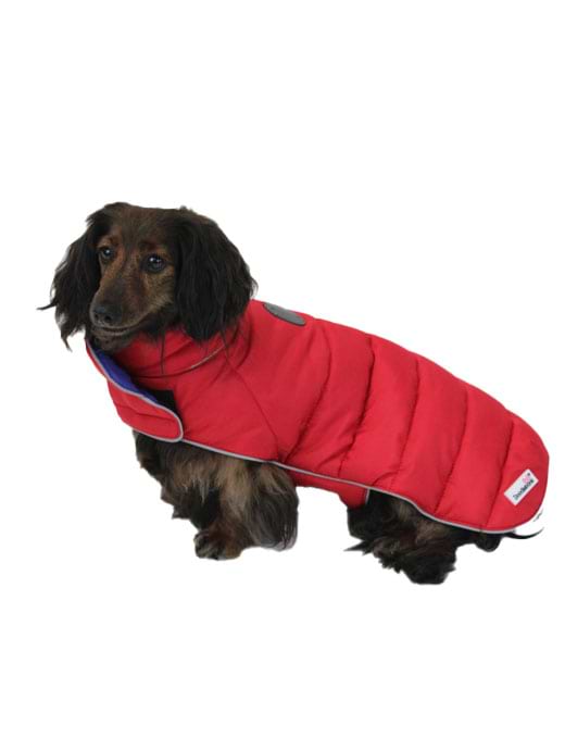 Doodlebone discount dog coat