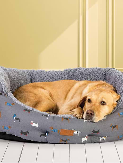 FatFace Deluxe Slumber Dog Bed Marching Dogs