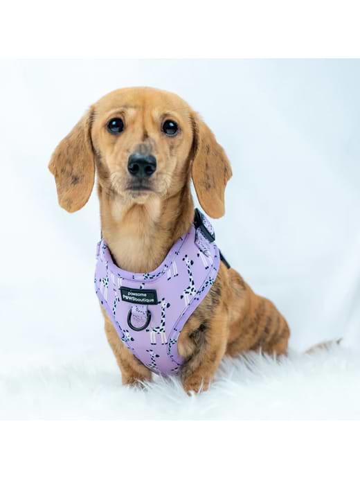 Flamingo clearance dog harness