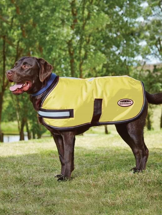 WeatherBeeta Reflective Parka 300D Dog Coat Yellow