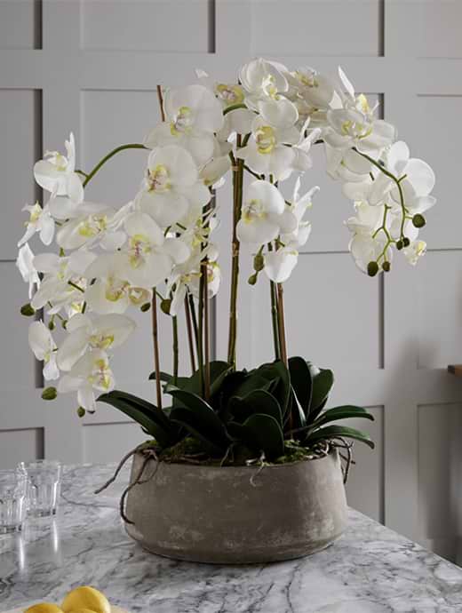Hill Interiors Large White Orchid In Stone Pot