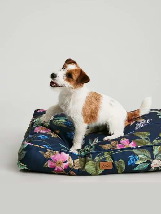 Joules percher sale dog bed