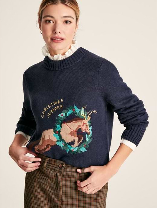 Joules sale childrens jumpers