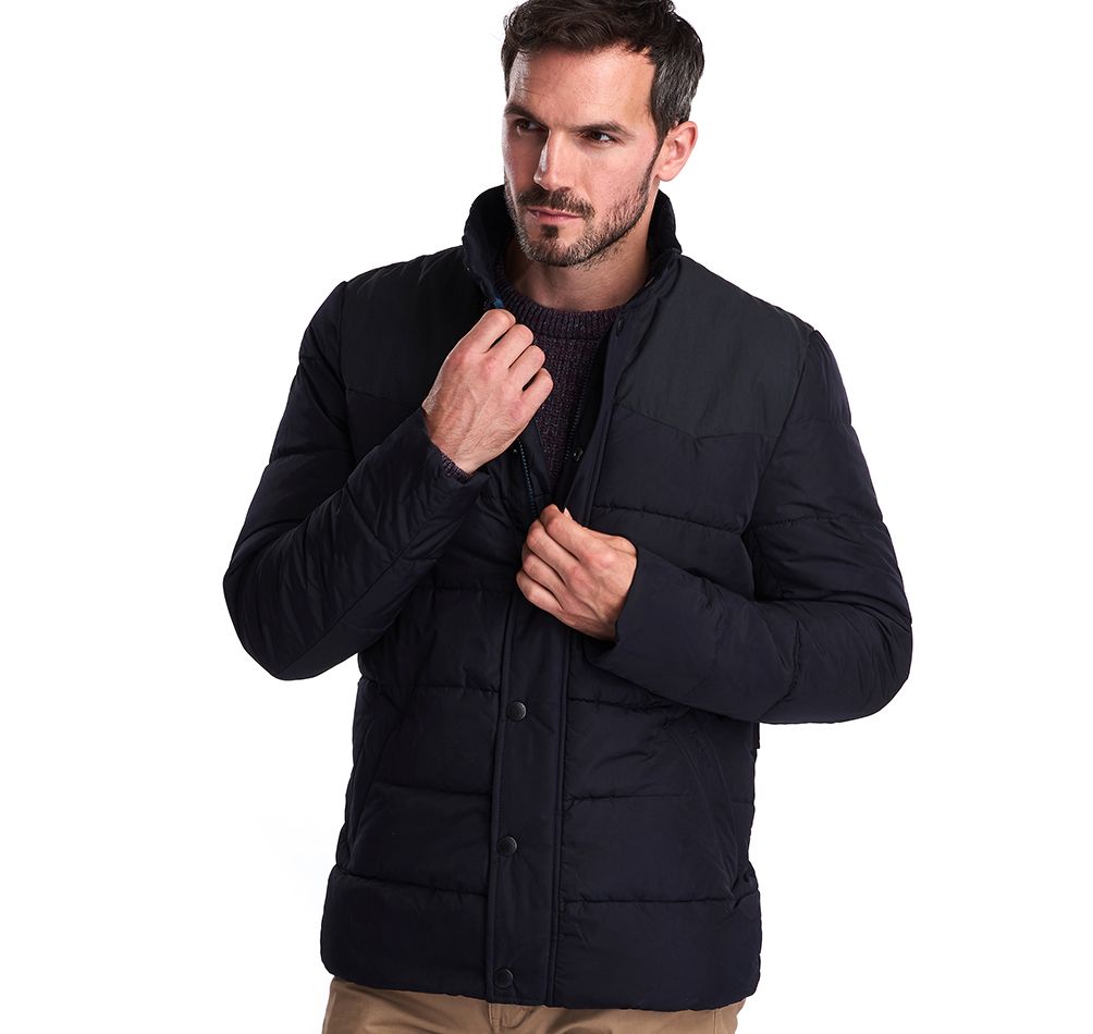 Barbour stevenson online