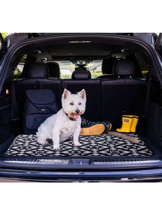 Pet rebellion 2025 car seat protection