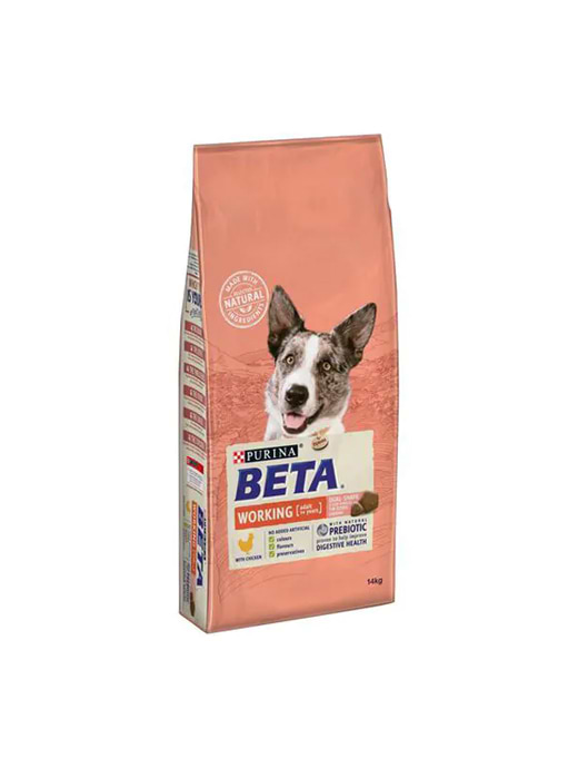 Beta salmon dog food discount