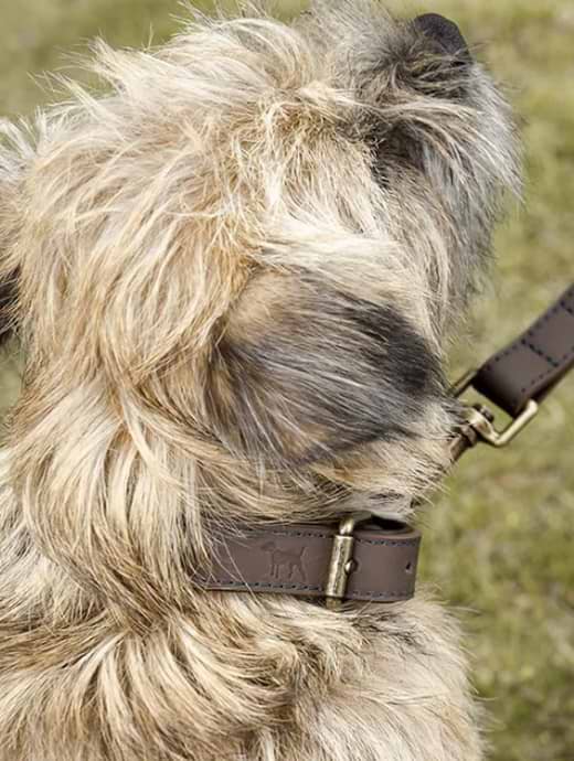 Sophie allport dog collar best sale