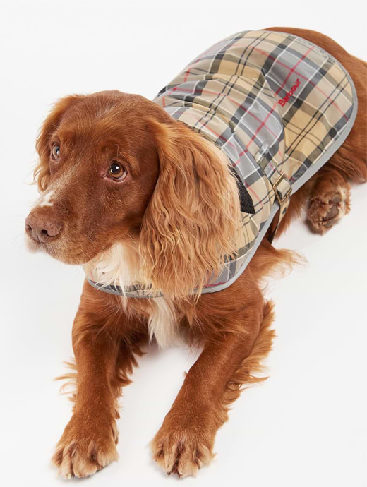 Barbour tartan dog coat clearance