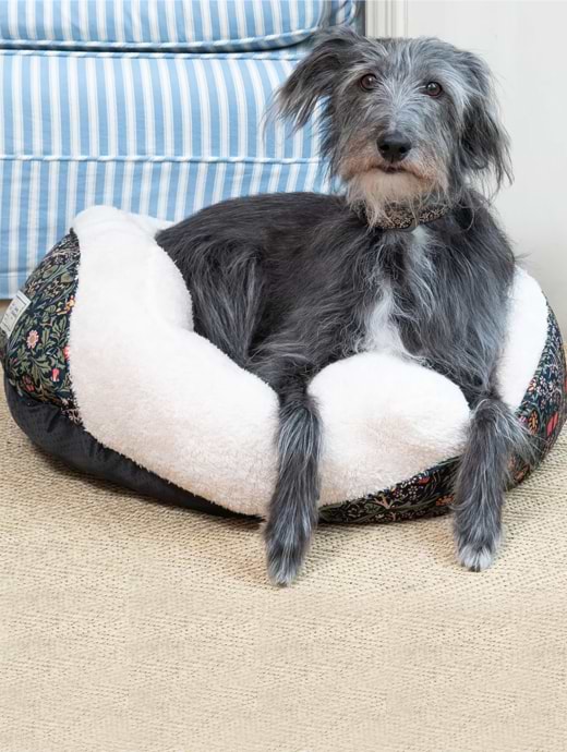 Farm and fleet dog bed discount
