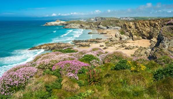 The Cornish Coastline: A Floral Extravaganza