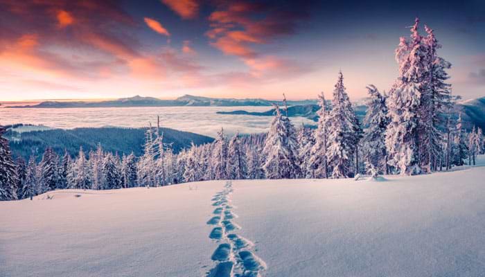 Eurythmics: Walking in a Winter Wonderland