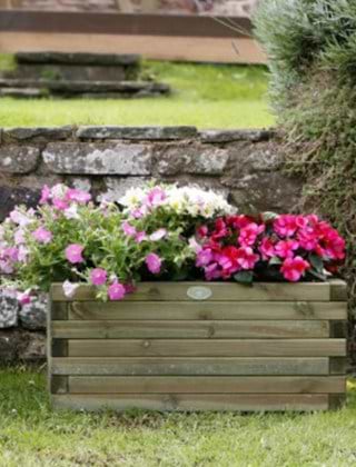 Planters & Grow Your Own
