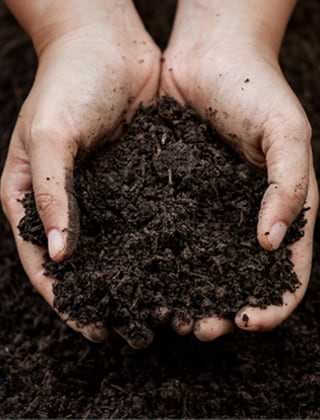 Compost, Soil & Bark