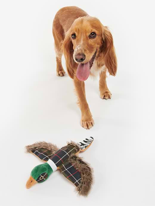 Barbour Pheasant Dog Toy Tartan Griggs Agri