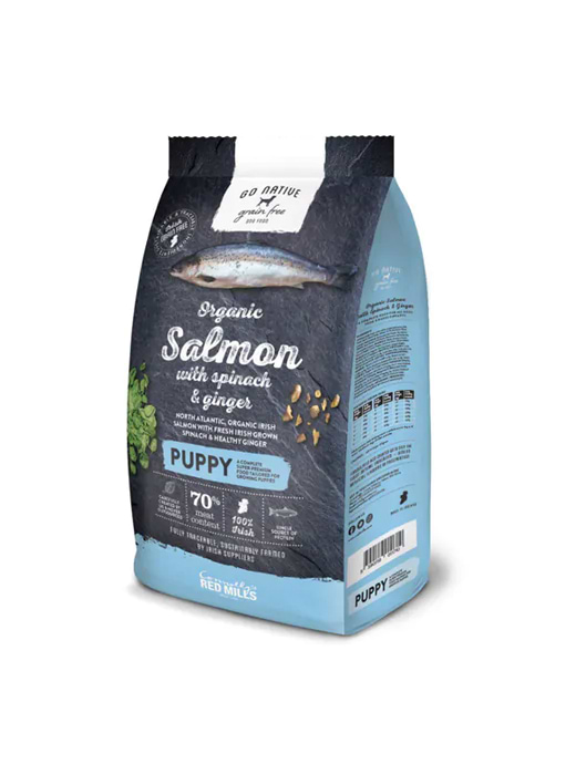 Organic salmon dog food best sale