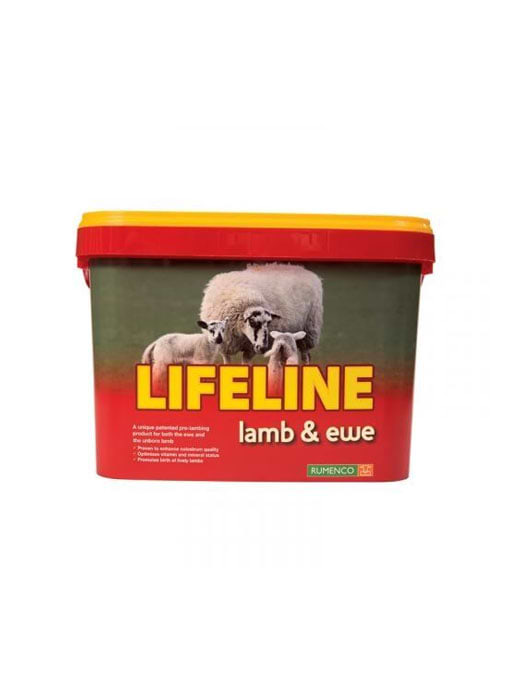 Lifeline Ewe & Lamb Bucket - BUY 10 GET 1 FREE!